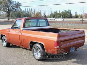 Chevrolet C 10 8 cylindres 350ci  orange