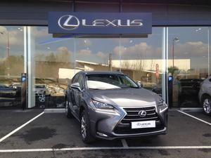 LEXUS NX 300h 4WD Luxe