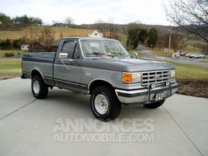 Ford F150 Vci  gris