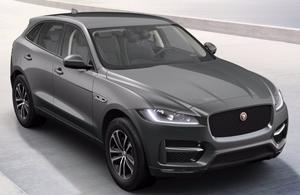 JAGUAR Divers R-SPORT - D