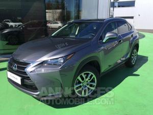 Lexus NX 300h 4WD Luxe gris mercure