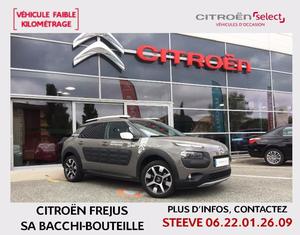 CITROëN C4 cactus BlueHDi 100 Rip Curl