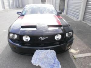 Ford Mustang 26 d'occasion