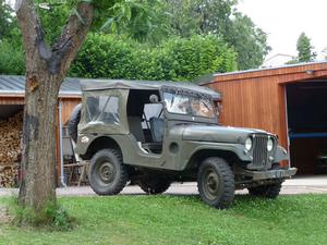 JEEP Willys willys