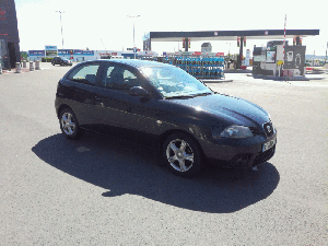 SEAT Ibiza 1.9 TDI 100 Sport Edition