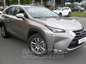 Lexus NX 300h 4WD Pack Business gris titane