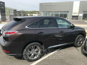 Lexus RX 4WD Luxe gris foncé métal