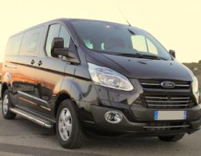Ford Tourneo Custom 300 L2H1 2.2 TDCi 155 Limited d'occasion