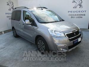 Peugeot Partner Tepee 1.6 BlueHDi 100ch Style gris artense
