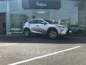 Lexus NX 300h 4WD Luxe gris titane