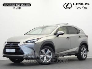 Lexus NX 300h 4WD Executive gris titane