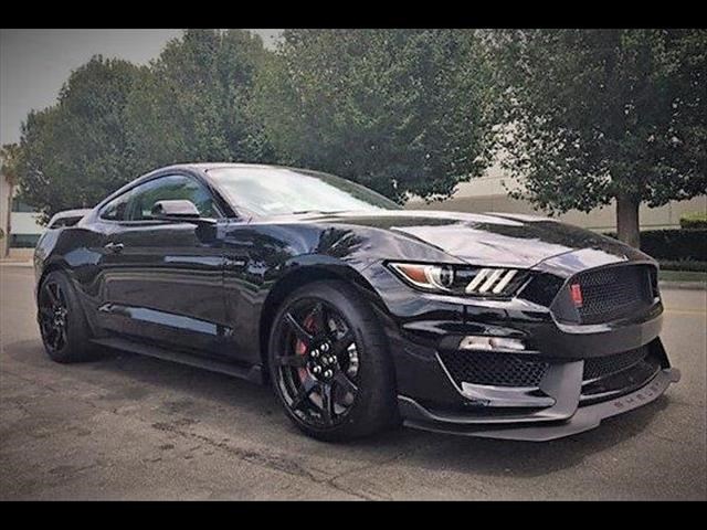 Ford Mustang SHELBY GT350R  Occasion