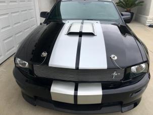 Ford Mustang GT350 Shelby immaculee proprio. collectionneur