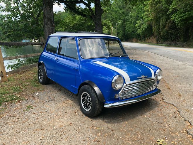 Mini Classic Mini